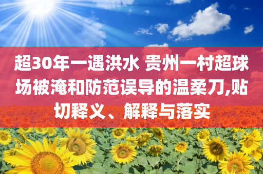 超30年一遇洪水 貴州一村超球場(chǎng)被淹和防范誤導(dǎo)的溫柔刀,貼切釋義、解釋與落實(shí)