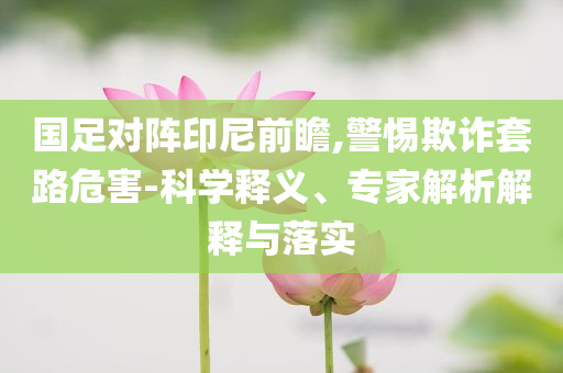 國足對陣印尼前瞻,警惕欺詐套路危害-科學(xué)釋義、專家解析解釋與落實(shí)