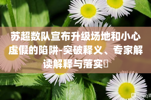 蘇超數(shù)隊宣布升級場地和小心虛假的陷阱-突破釋義、專家解讀解釋與落實(shí)?