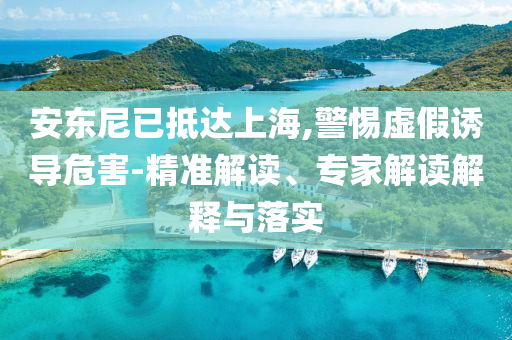 安東尼已抵達(dá)上海,警惕虛假誘導(dǎo)危害-精準(zhǔn)解讀、專家解讀解釋與落實(shí)