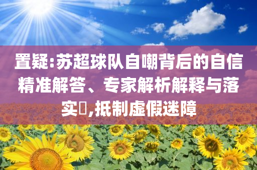 置疑:蘇超球隊(duì)自嘲背后的自信精準(zhǔn)解答、專家解析解釋與落實(shí)?,抵制虛假迷障