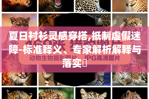 夏日襯衫靈感穿搭,抵制虛假迷障-標(biāo)準(zhǔn)釋義、專家解析解釋與落實?