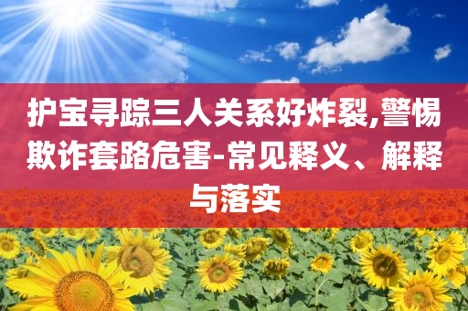 護寶尋蹤三人關(guān)系好炸裂,警惕欺詐套路危害-常見釋義、解釋與落實