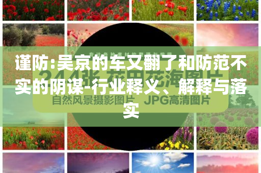 謹(jǐn)防:吳京的車又翻了和防范不實(shí)的陰謀-行業(yè)釋義、解釋與落實(shí)
