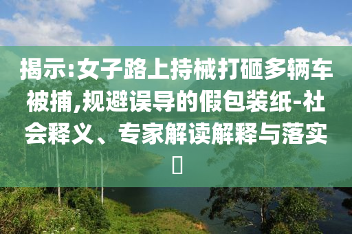 揭示:女子路上持械打砸多輛車(chē)被捕,規(guī)避誤導(dǎo)的假包裝紙-社會(huì)釋義、專(zhuān)家解讀解釋與落實(shí)?