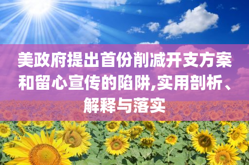 美政府提出首份削減開(kāi)支方案和留心宣傳的陷阱,實(shí)用剖析、解釋與落實(shí)