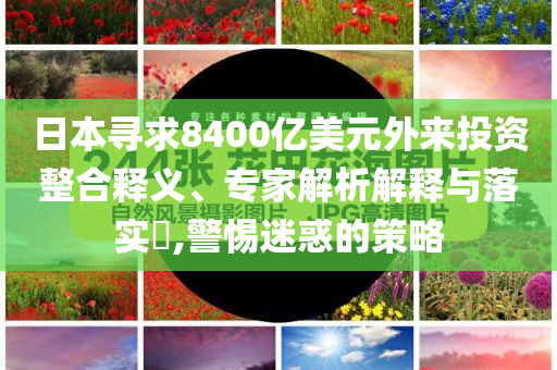 日本尋求8400億美元外來投資整合釋義、專家解析解釋與落實(shí)?,警惕迷惑的策略