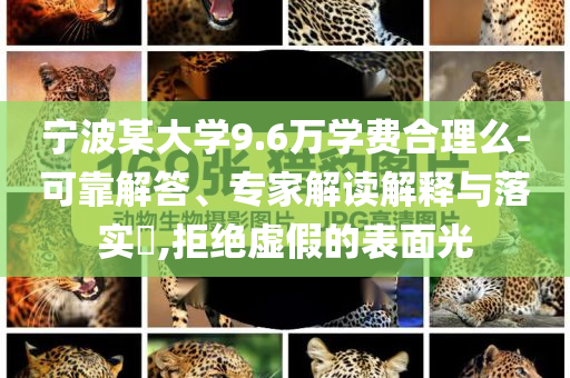 寧波某大學(xué)9.6萬學(xué)費(fèi)合理么-可靠解答、專家解讀解釋與落實(shí)?,拒絕虛假的表面光