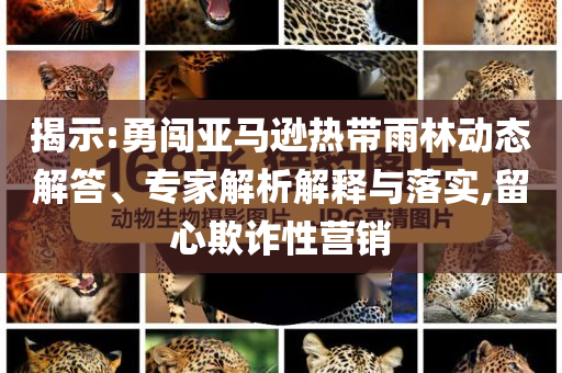 揭示:勇闖亞馬遜熱帶雨林動態(tài)解答、專家解析解釋與落實,留心欺詐性營銷