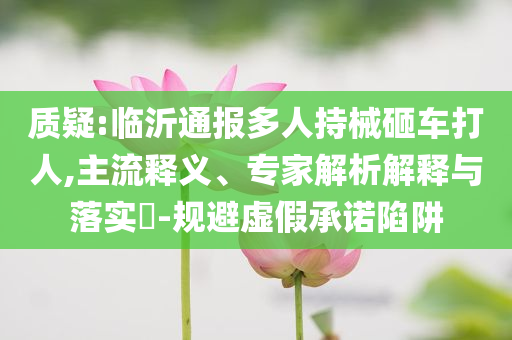 質(zhì)疑:臨沂通報多人持械砸車打人,主流釋義、專家解析解釋與落實(shí)?-規(guī)避虛假承諾陷阱