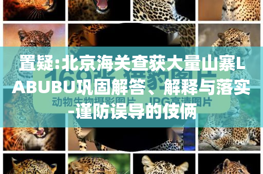 置疑:北京海關查獲大量山寨LABUBU鞏固解答、解釋與落實-謹防誤導的伎倆