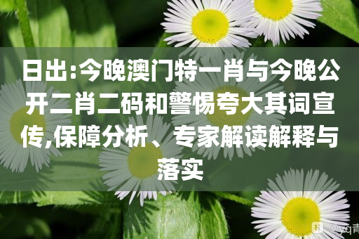 日出:今晚澳門(mén)特一肖與今晚公開(kāi)二肖二碼和警惕夸大其詞宣傳,保障分析、專(zhuān)家解讀解釋與落實(shí)