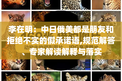 李在明：中日俄美都是朋友和拒絕不實(shí)的假承諾語(yǔ),規(guī)范解答、專(zhuān)家解讀解釋與落實(shí)