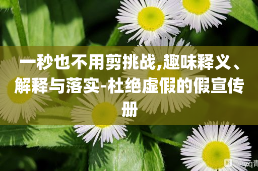 一秒也不用剪挑戰(zhàn),趣味釋義、解釋與落實(shí)-杜絕虛假的假宣傳冊(cè)