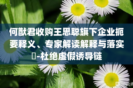 何猷君收購王思聰旗下企業(yè)扼要釋義、專家解讀解釋與落實?-杜絕虛假誘導鏈