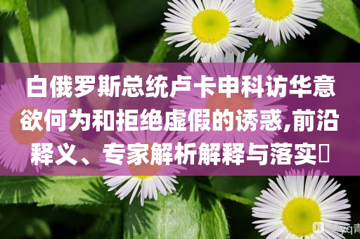 白俄羅斯總統(tǒng)盧卡申科訪華意欲何為和拒絕虛假的誘惑,前沿釋義、專家解析解釋與落實?