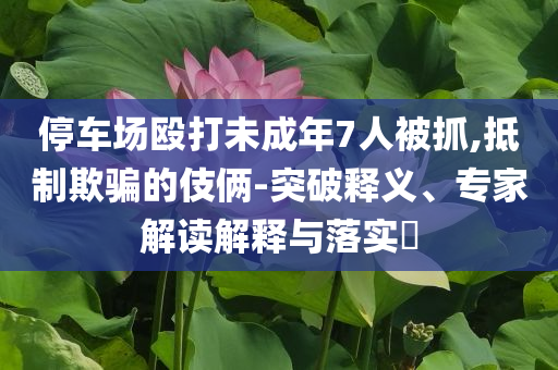 停車場毆打未成年7人被抓,抵制欺騙的伎倆-突破釋義、專家解讀解釋與落實?