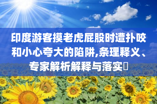 印度游客摸老虎屁股時遭撲咬和小心夸大的陷阱,條理釋義、專家解析解釋與落實?