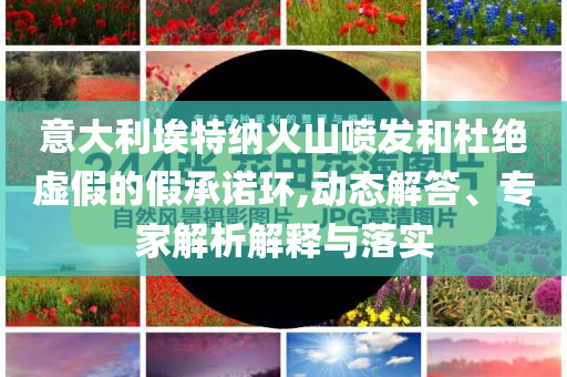 意大利埃特納火山噴發(fā)和杜絕虛假的假承諾環(huán),動態(tài)解答、專家解析解釋與落實