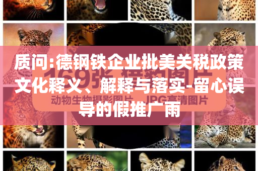 質(zhì)問(wèn):德鋼鐵企業(yè)批美關(guān)稅政策文化釋義、解釋與落實(shí)-留心誤導(dǎo)的假推廣雨
