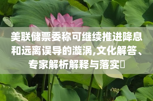 美聯(lián)儲票委稱可繼續(xù)推進(jìn)降息和遠(yuǎn)離誤導(dǎo)的漩渦,文化解答、專家解析解釋與落實(shí)?