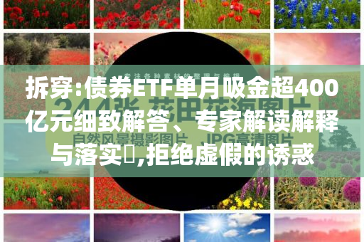 拆穿:債券ETF單月吸金超400億元細(xì)致解答、專家解讀解釋與落實(shí)?,拒絕虛假的誘惑
