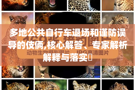 多地公共自行車(chē)退場(chǎng)和謹(jǐn)防誤導(dǎo)的伎倆,核心解答、專家解析解釋與落實(shí)?
