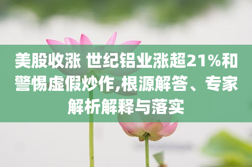 美股收漲 世紀(jì)鋁業(yè)漲超21%和警惕虛假炒作,根源解答、專家解析解釋與落實