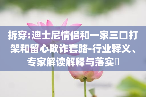 拆穿:迪士尼情侶和一家三口打架和留心欺詐套路-行業(yè)釋義、專家解讀解釋與落實(shí)?