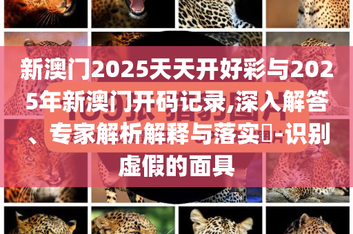 新澳門2025天天開好彩與2025年新澳門開碼記錄,深入解答、專家解析解釋與落實(shí)?-識(shí)別虛假的面具