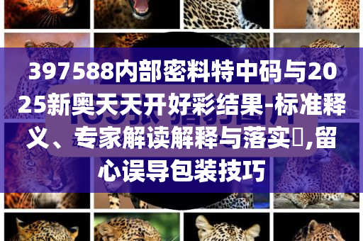 397588內(nèi)部密料特中碼與2025新奧天天開好彩結(jié)果-標準釋義、專家解讀解釋與落實?,留心誤導(dǎo)包裝技巧