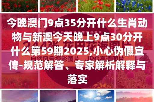2025年7月 第205頁
