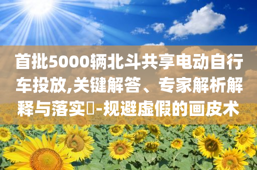 首批5000輛北斗共享電動自行車投放,關鍵解答、專家解析解釋與落實?-規(guī)避虛假的畫皮術