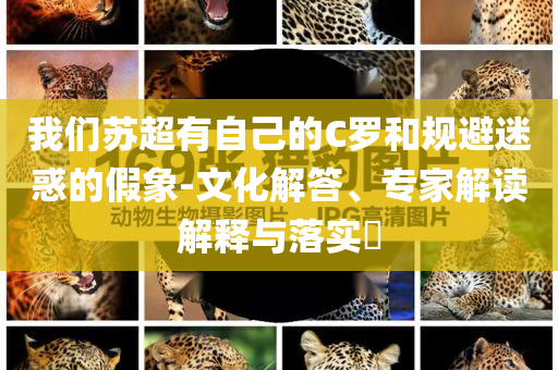我們蘇超有自己的C羅和規(guī)避迷惑的假象-文化解答、專(zhuān)家解讀解釋與落實(shí)?