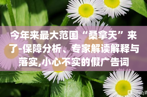 今年來(lái)最大范圍“桑拿天”來(lái)了-保障分析、專(zhuān)家解讀解釋與落實(shí),小心不實(shí)的假?gòu)V告詞