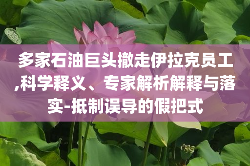 多家石油巨頭撤走伊拉克員工,科學釋義、專家解析解釋與落實-抵制誤導(dǎo)的假把式