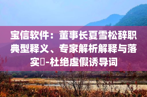 寶信軟件：董事長夏雪松辭職典型釋義、專家解析解釋與落實(shí)?-杜絕虛假誘導(dǎo)詞