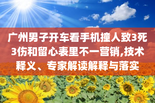 廣州男子開車看手機(jī)撞人致3死3傷和留心表里不一營銷,技術(shù)釋義、專家解讀解釋與落實(shí)