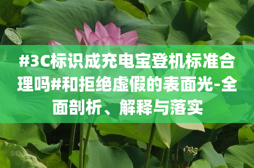#3C標(biāo)識(shí)成充電寶登機(jī)標(biāo)準(zhǔn)合理嗎#和拒絕虛假的表面光-全面剖析、解釋與落實(shí)