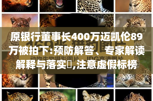 原銀行董事長(zhǎng)400萬(wàn)邁凱倫89萬(wàn)被拍下:預(yù)防解答、專(zhuān)家解讀解釋與落實(shí)?,注意虛假標(biāo)榜