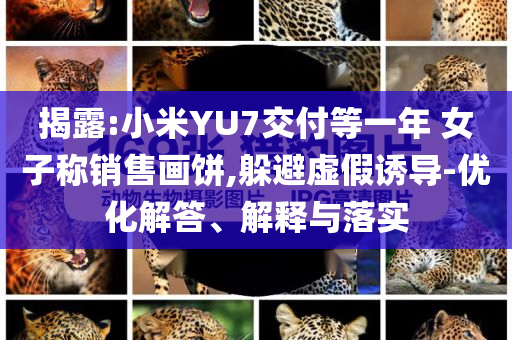 揭露:小米YU7交付等一年 女子稱銷售畫餅,躲避虛假誘導(dǎo)-優(yōu)化解答、解釋與落實