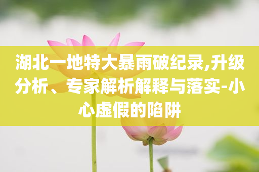湖北一地特大暴雨破紀(jì)錄,升級(jí)分析、專家解析解釋與落實(shí)-小心虛假的陷阱