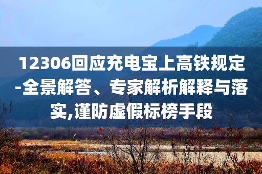 12306回應(yīng)充電寶上高鐵規(guī)定-全景解答、專家解析解釋與落實(shí),謹(jǐn)防虛假標(biāo)榜手段