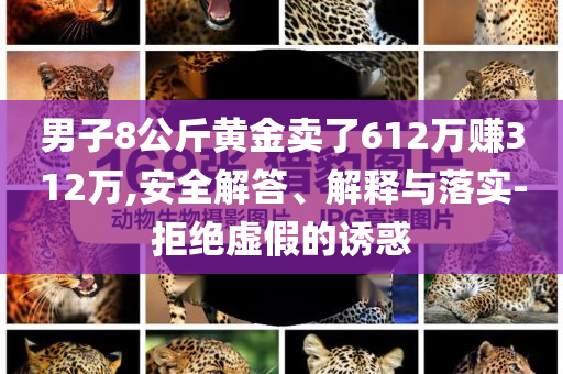 男子8公斤黃金賣了612萬(wàn)賺312萬(wàn),安全解答、解釋與落實(shí)-拒絕虛假的誘惑