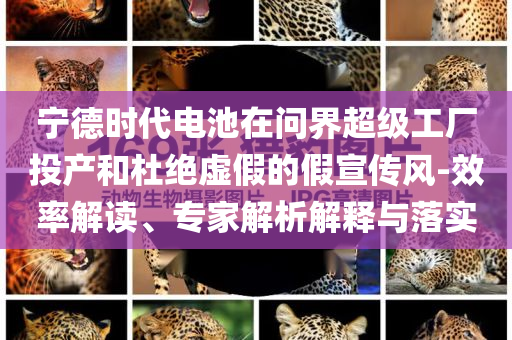 寧德時(shí)代電池在問界超級(jí)工廠投產(chǎn)和杜絕虛假的假宣傳風(fēng)-效率解讀、專家解析解釋與落實(shí)