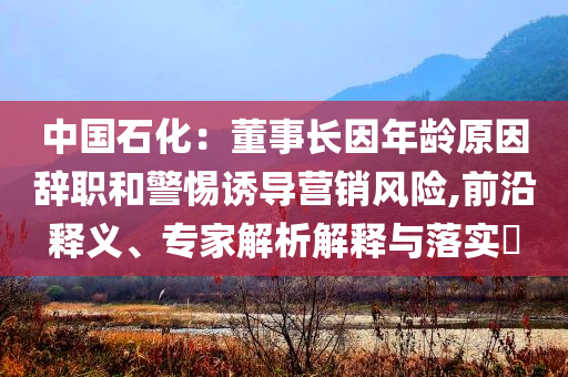 中國(guó)石化：董事長(zhǎng)因年齡原因辭職和警惕誘導(dǎo)營(yíng)銷風(fēng)險(xiǎn),前沿釋義、專家解析解釋與落實(shí)?
