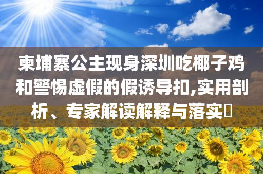 柬埔寨公主現(xiàn)身深圳吃椰子雞和警惕虛假的假誘導扣,實用剖析、專家解讀解釋與落實?