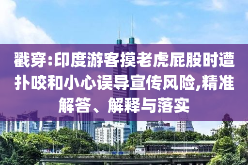 戳穿:印度游客摸老虎屁股時遭撲咬和小心誤導宣傳風險,精準解答、解釋與落實
