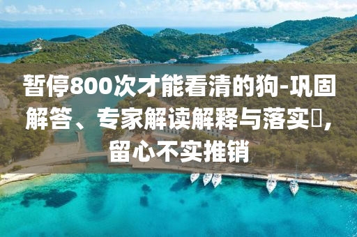 暫停800次才能看清的狗-鞏固解答、專家解讀解釋與落實(shí)?,留心不實(shí)推銷