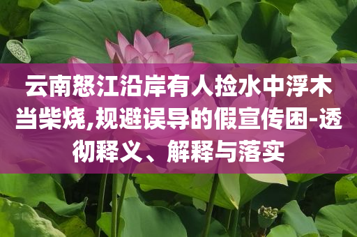 云南怒江沿岸有人撿水中浮木當柴燒,規(guī)避誤導的假宣傳困-透徹釋義、解釋與落實